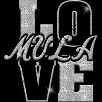 GLT74 SILVER GLITTER Thumbnail